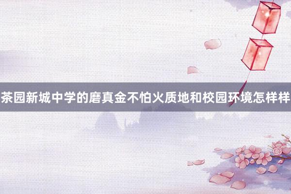 茶园新城中学的磨真金不怕火质地和校园环境怎样样