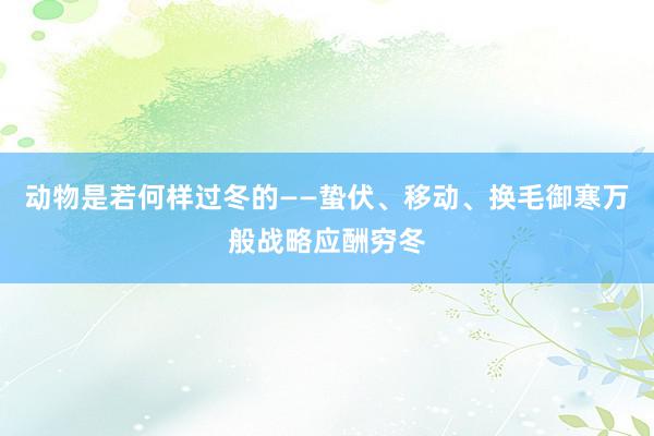 动物是若何样过冬的——蛰伏、移动、换毛御寒万般战略应酬穷冬
