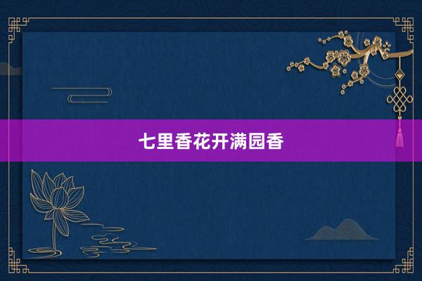 七里香花开满园香