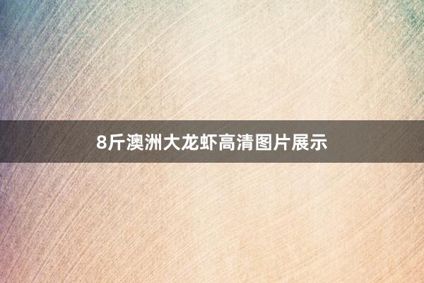 8斤澳洲大龙虾高清图片展示